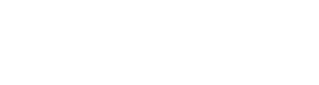 SkyView Perspectives